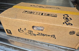 2025년 12월 11일 고래사어묵 지원