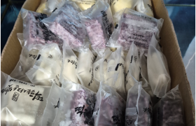 2026년 2월 4일 떡굽는사 맛디댜 지원