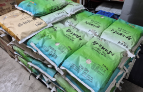 2026년 1월 28일 안심정사 지원